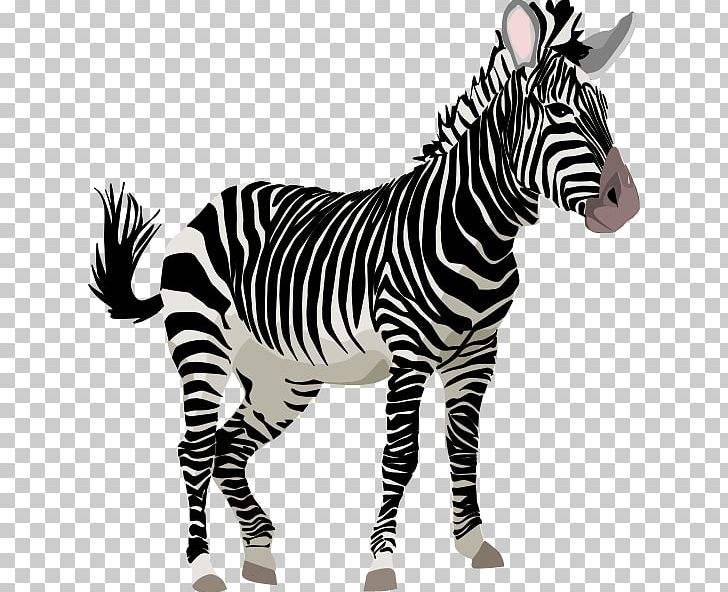 Zebra cuteness cartoon.
