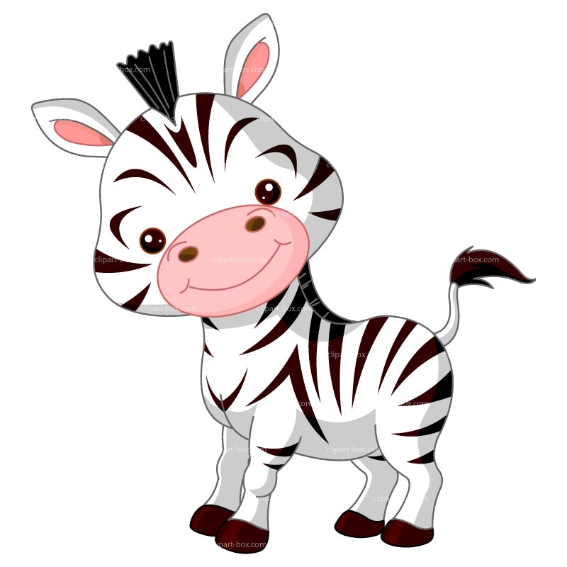 Pink baby zebra.