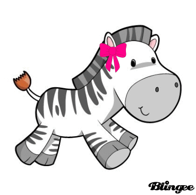 Zebra transparent heidis.