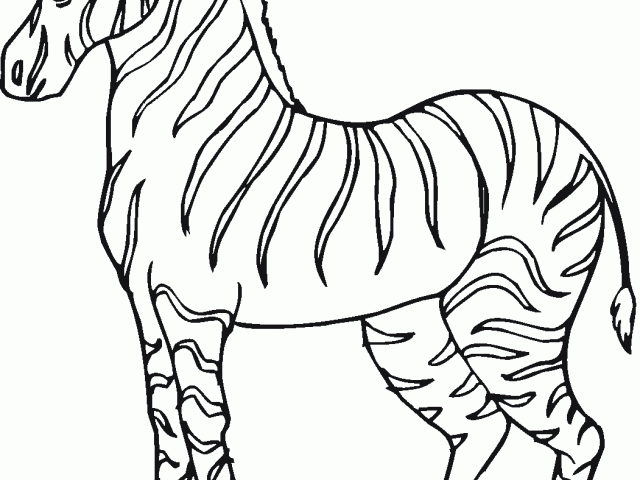Free Zebra Clipart, Download Free Clip Art on Owips