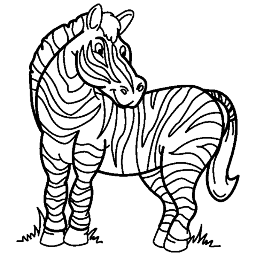 Free cute zebra.