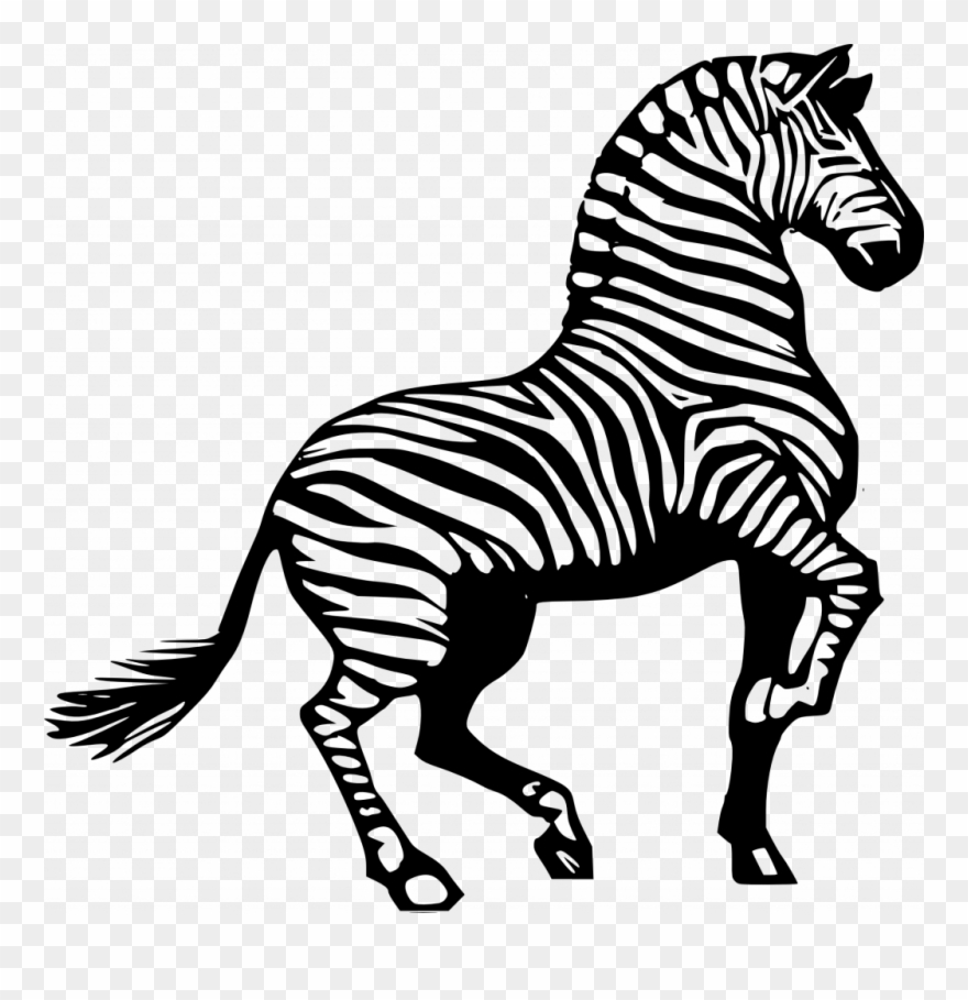 Startling Coloring Pictures Of Zebras Zebra Clipart