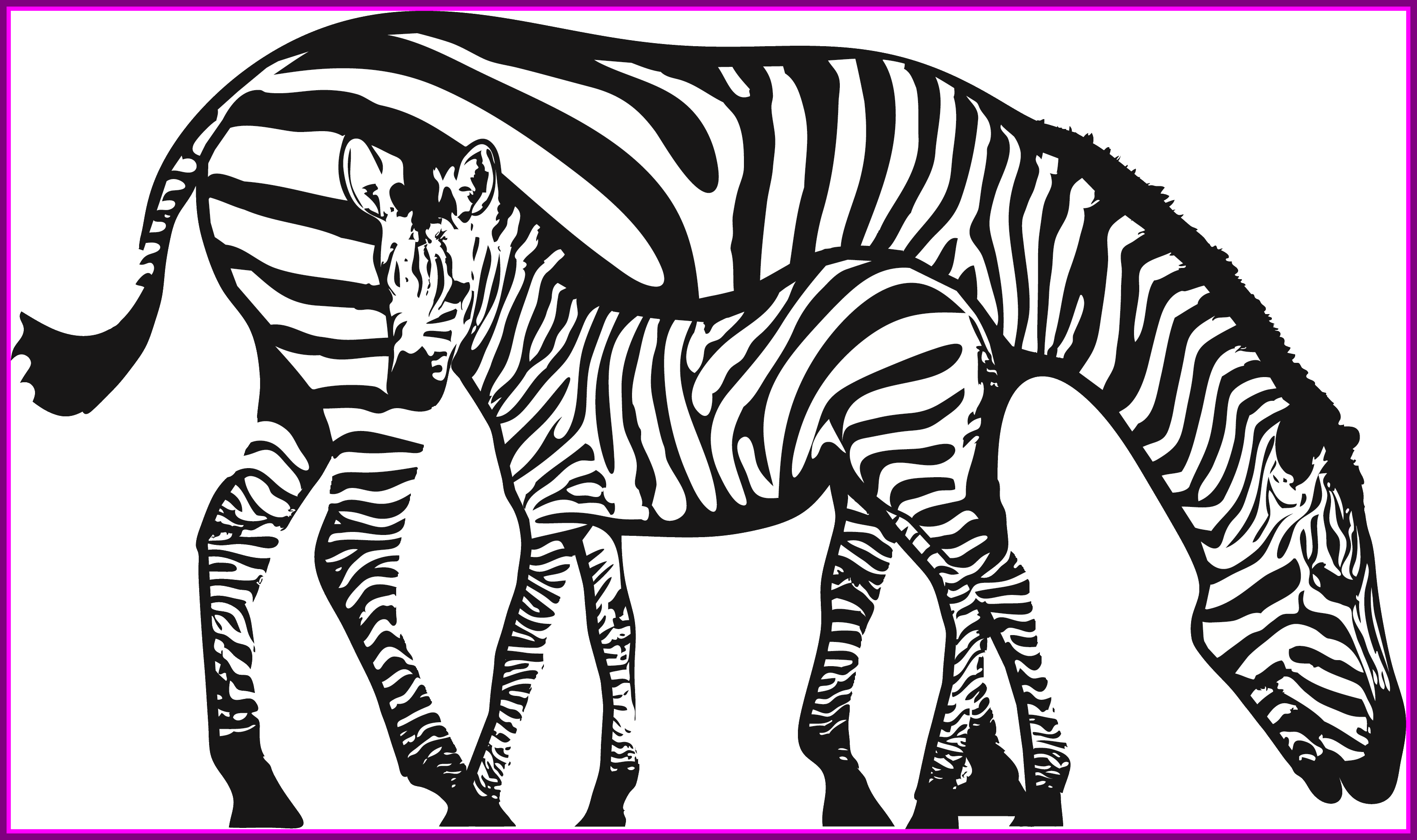 Download Zebra clipart black and white lion pictures on Cliparts ...