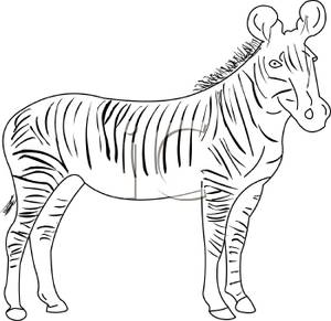 Clip Art Animals Black And White, Download Free Clip Art on