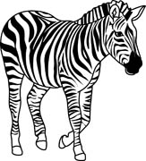 zebra clipart black and white outline
