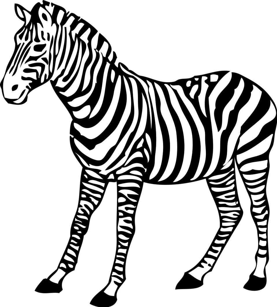 Zebra free stock.
