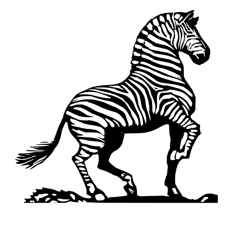 Zebra animated clipart.