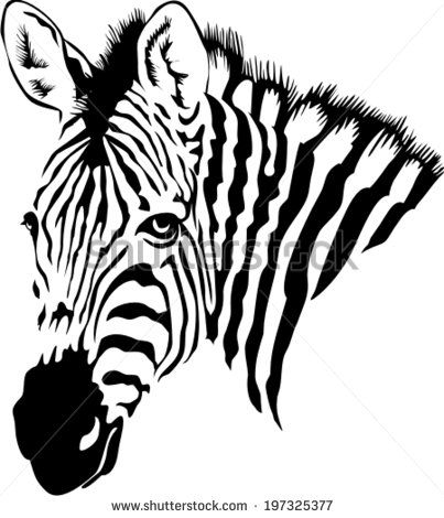 zebra clipart black and white vector