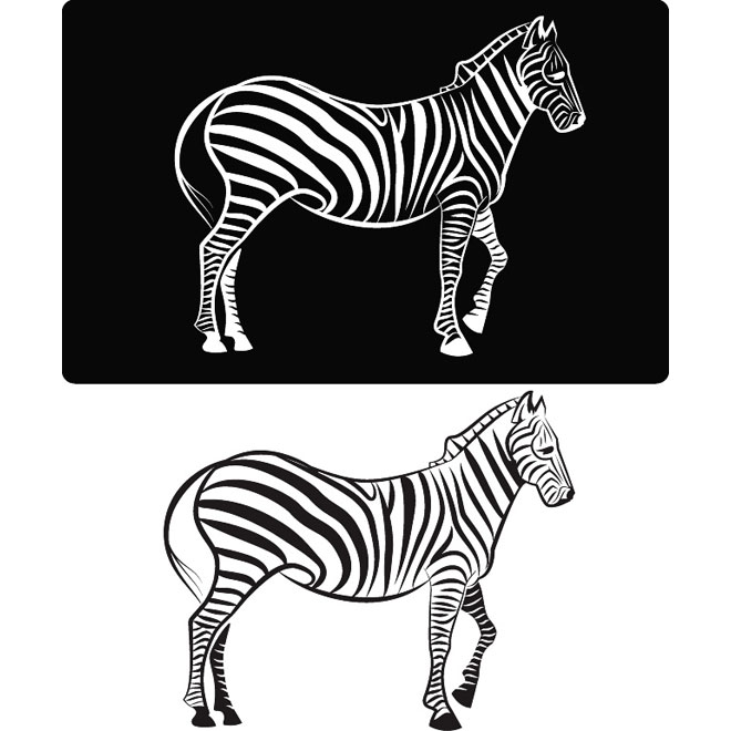 Zebra Clip Art Free Vector