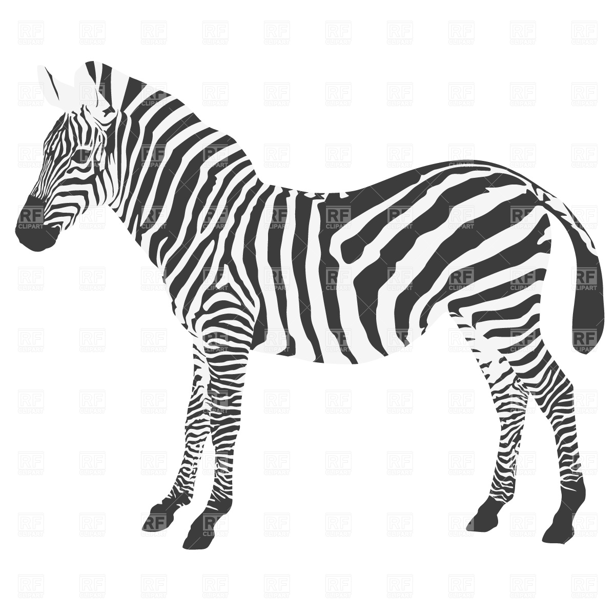 Free zebra clipart.