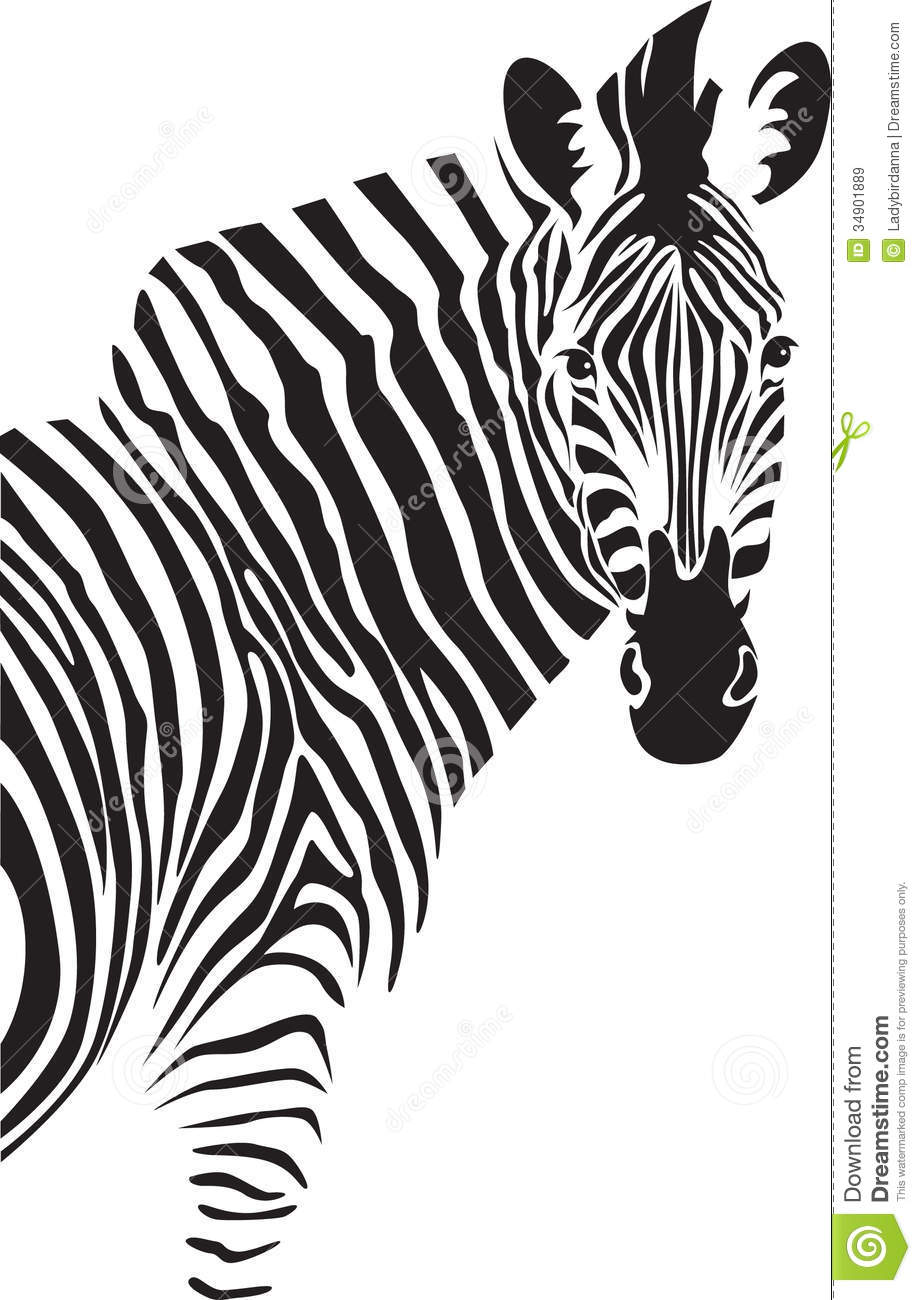 zebra clipart black and white vector