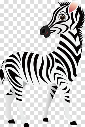 Zebra zebra transparent.