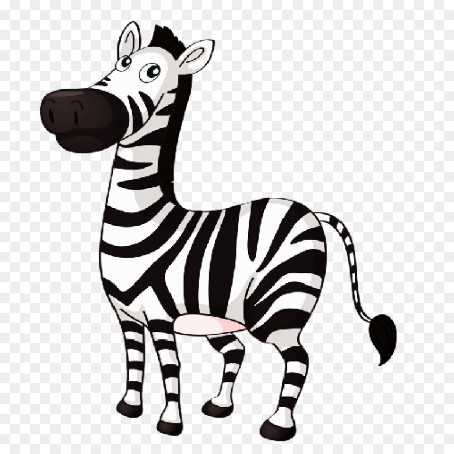 Zebra Cartoon clipart