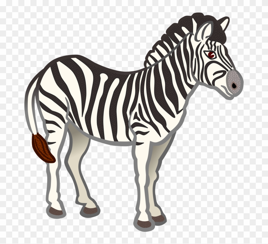 zebra clipart clear background