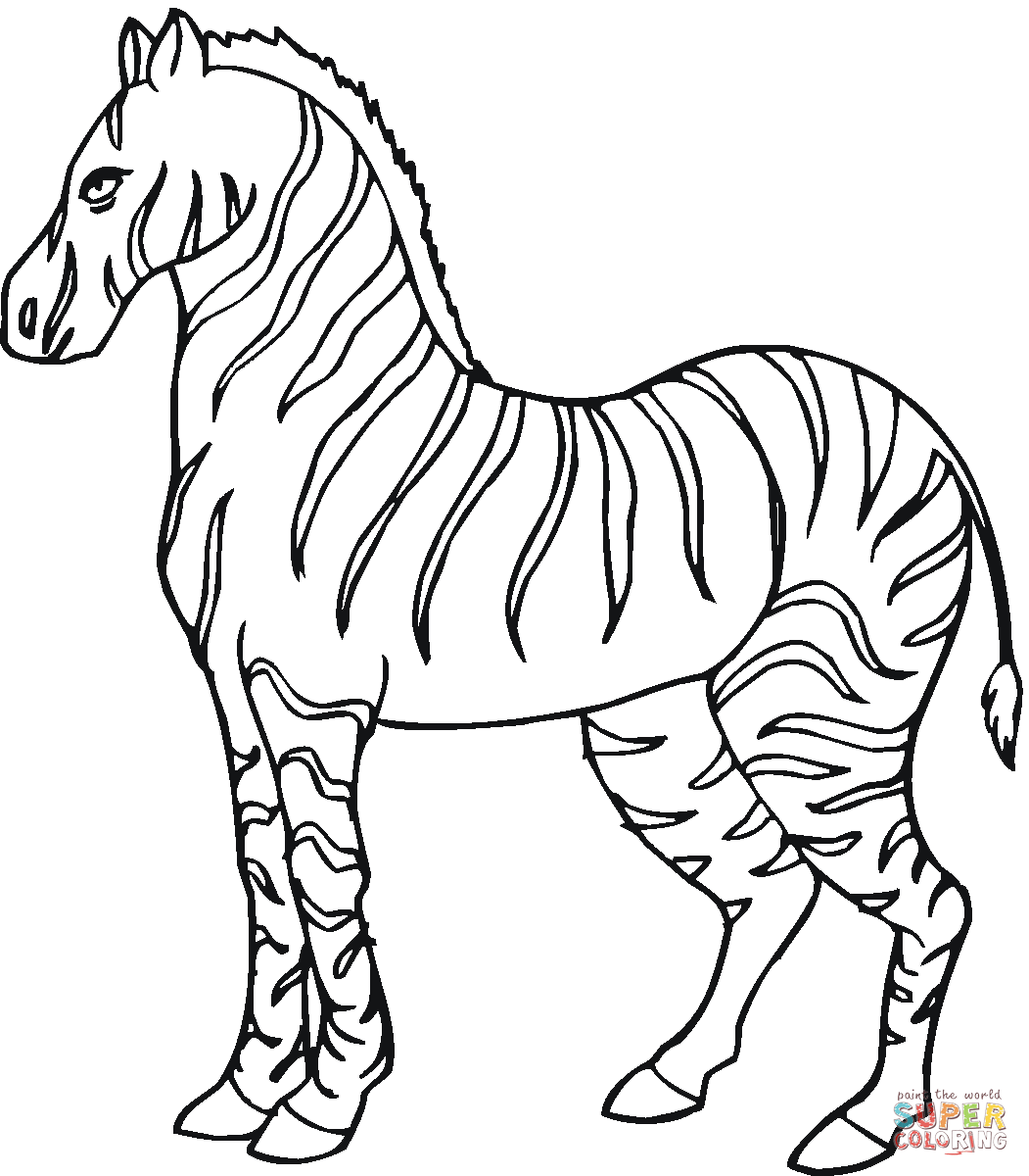 Zebras coloring pages.