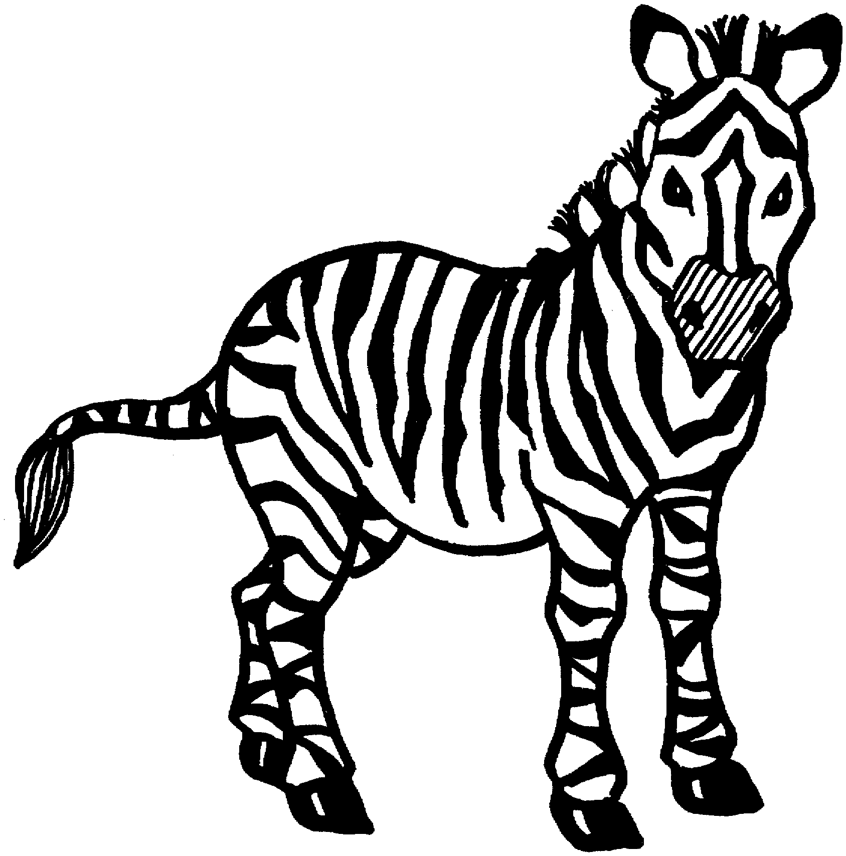 Childrens coloring pages zebra