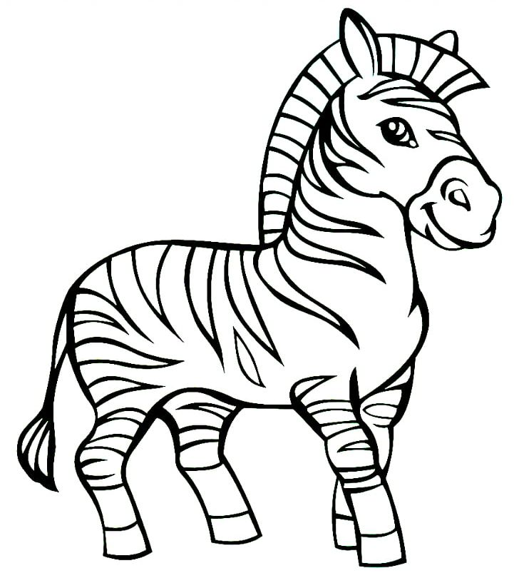 Zebra clipart coloring pictures on Cliparts Pub 2020! 🔝