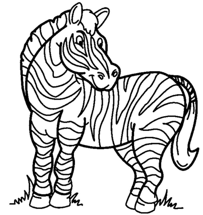 Free zebra coloring.