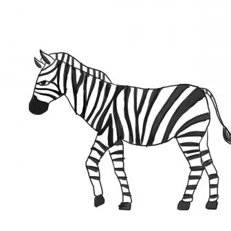 Zebra drawing free.