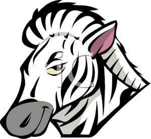 The Head of a Zebra clip art