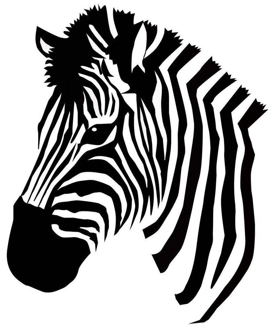 Zebra head drawing.