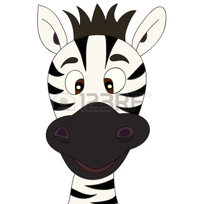 Zebra head zebra.