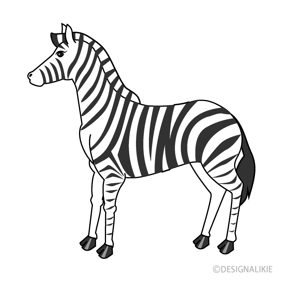Zebra clipart free.
