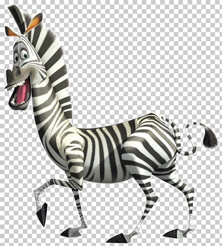 Alex Melman Madagascar Desktop , zebra PNG clipart