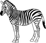 Free Zebra Clipart Black And White, Download Free Clip Art