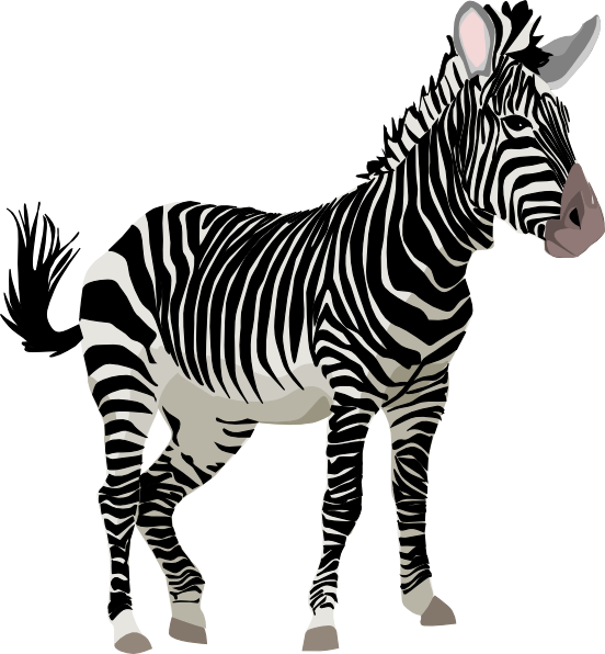 zebra clipart realistic