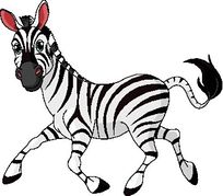 Funny running zebra.
