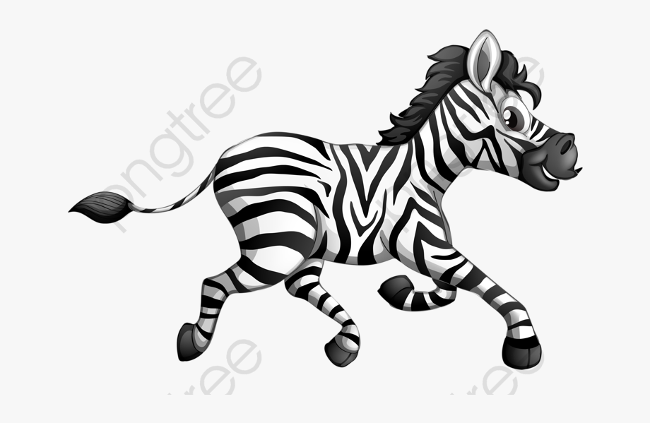 Zebra clipart running.