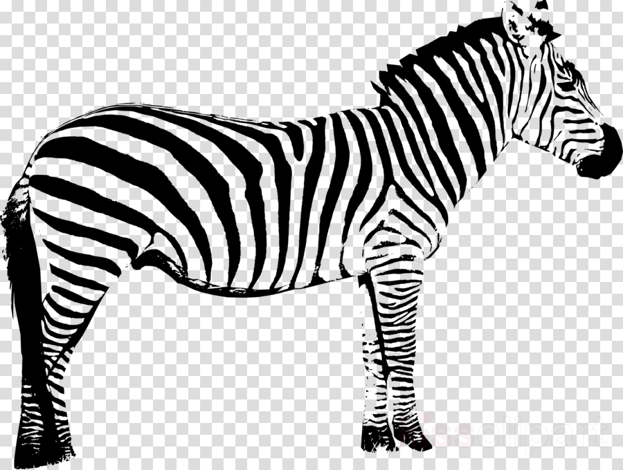 zebra clipart silhouette