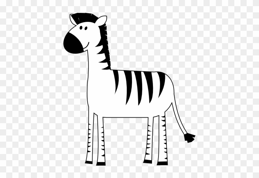 Colorful Animal Zebra