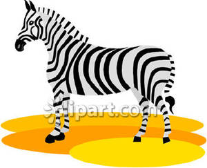 Simple zebra royalty.