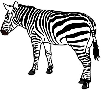 zebra clipart sitting