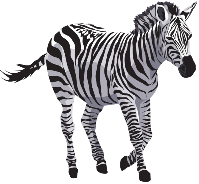 Zebra png images.