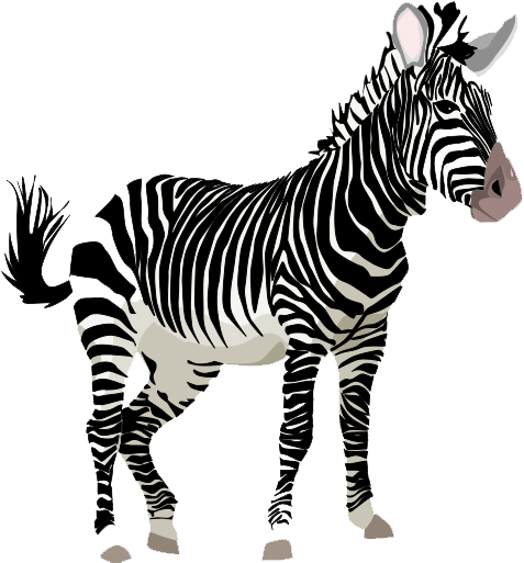 zebra clipart transparent background