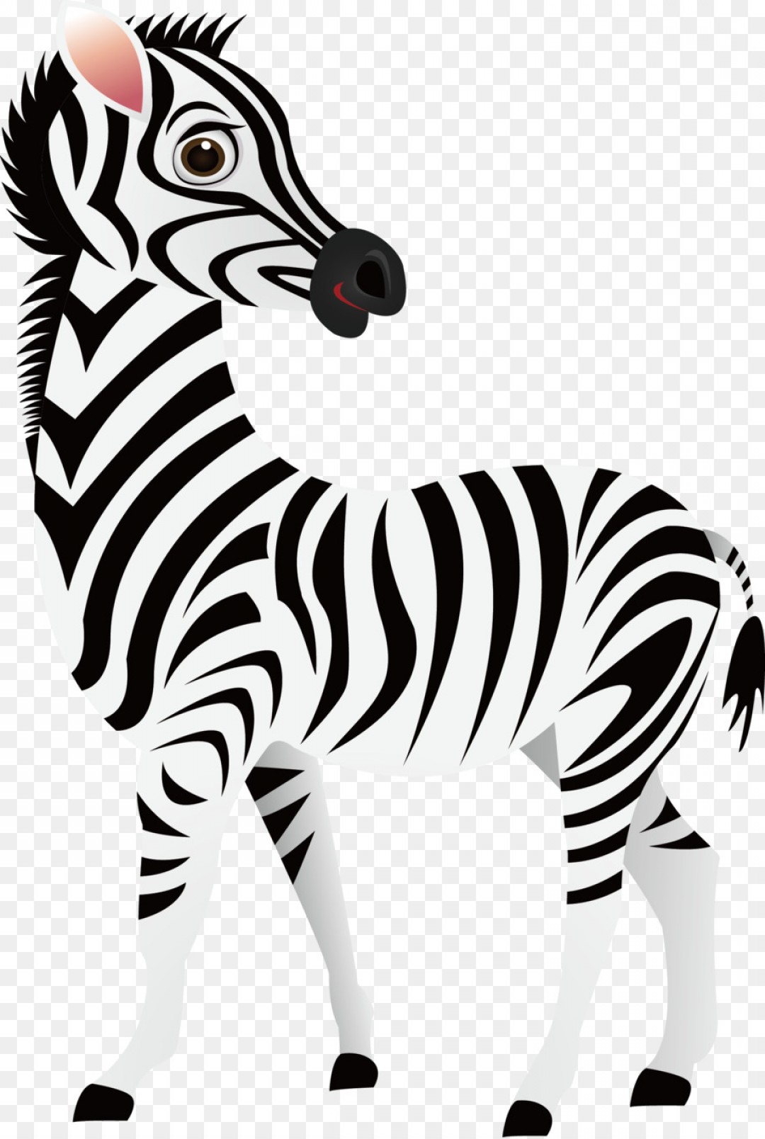 Png cartoon zebra.
