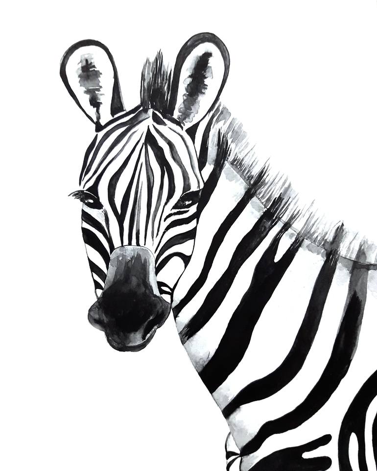 Zebra, watercolor painting