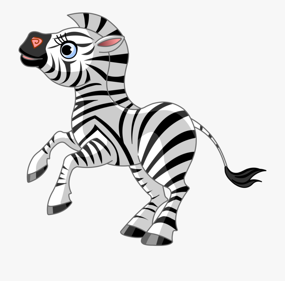 zebra clipart zoo