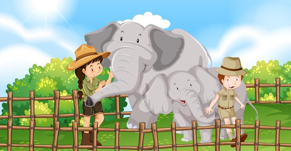 Two elephants and kids in the zoo