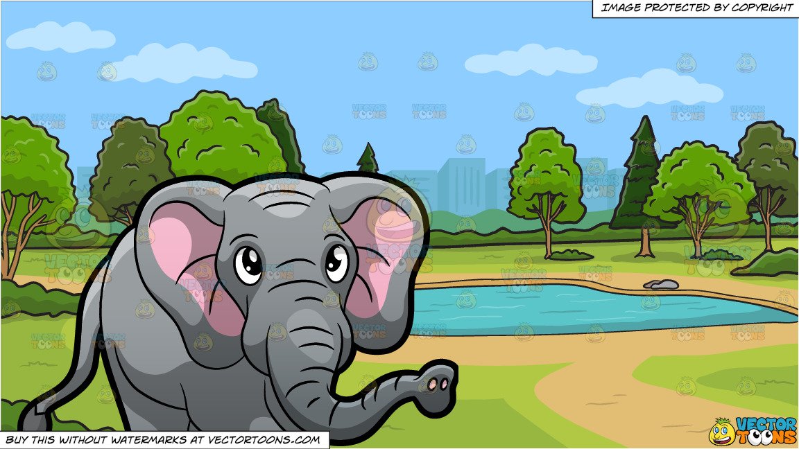 An Elephant Walking Around At The Zoo and A Small Pond In The Park  Background