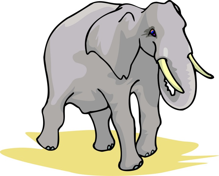 Zoo Clipart elephant