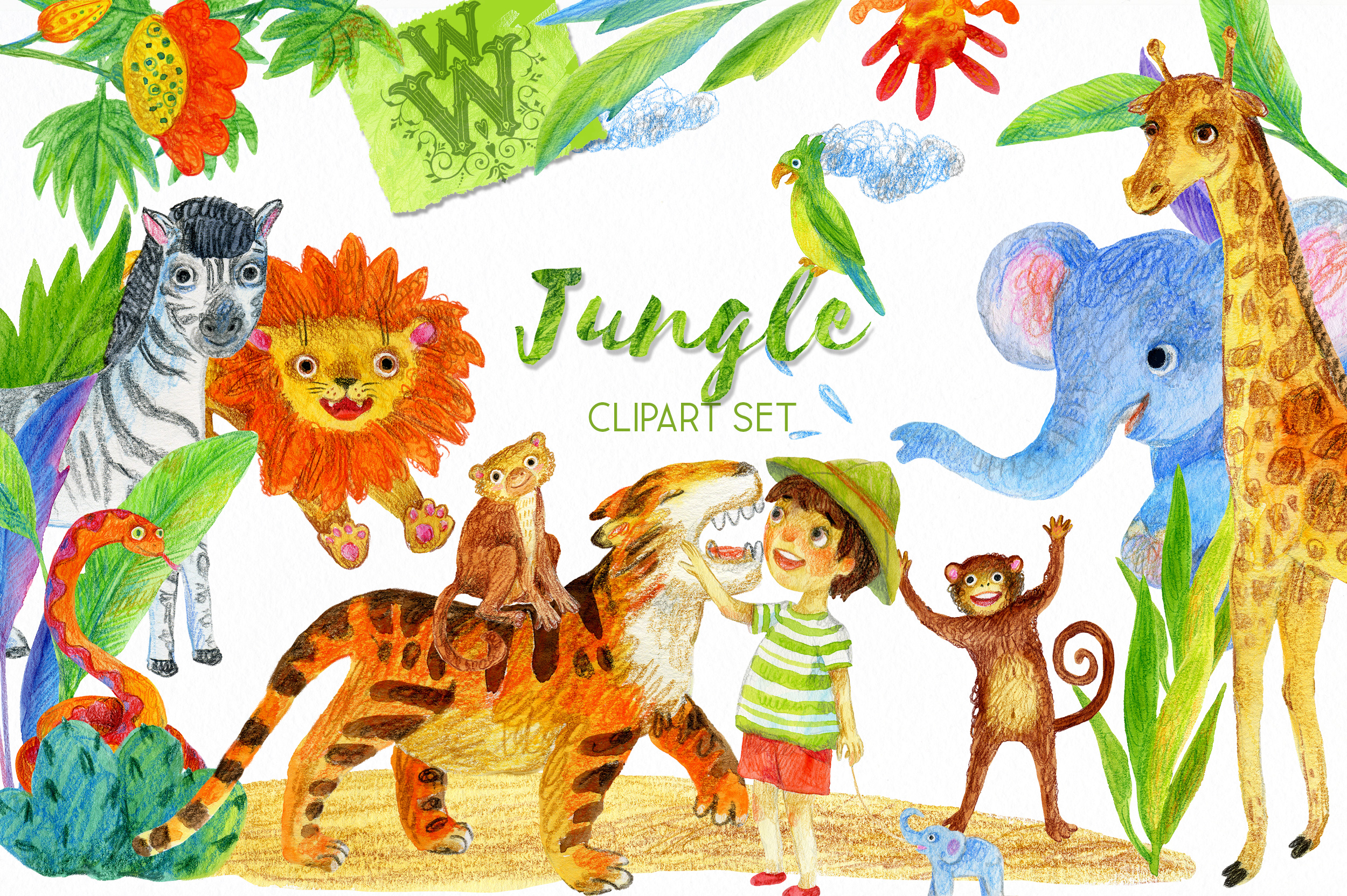 Jungle animal clipart, safari zoo clip art, lion, tiger, kid