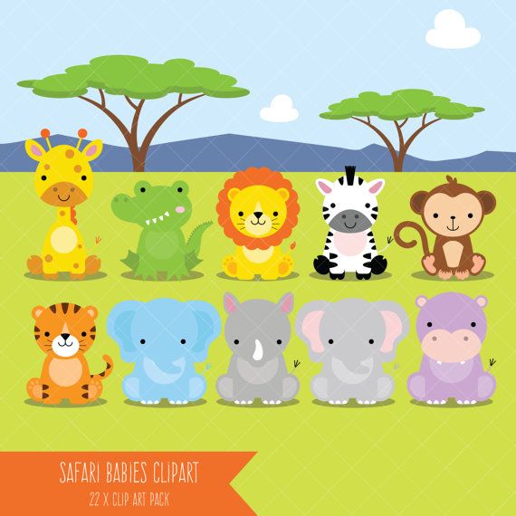 Safari baby animals.