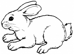 Bunny Clipart Black And White and other clipart images on Cliparts pub™