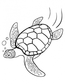 Clipart Sea Turtle Outline and other clipart images on Cliparts pub™