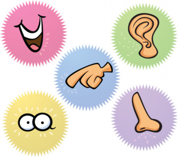 Five Sense Clipart