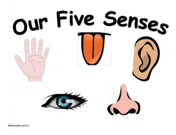 5 Senses Clipart Preschool and other clipart images on Cliparts pub™